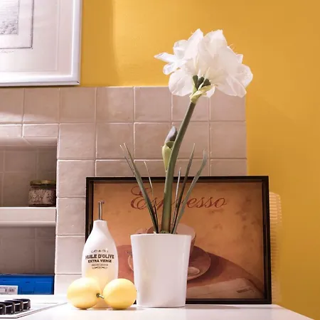 Apartment Studio Mima Rovinj